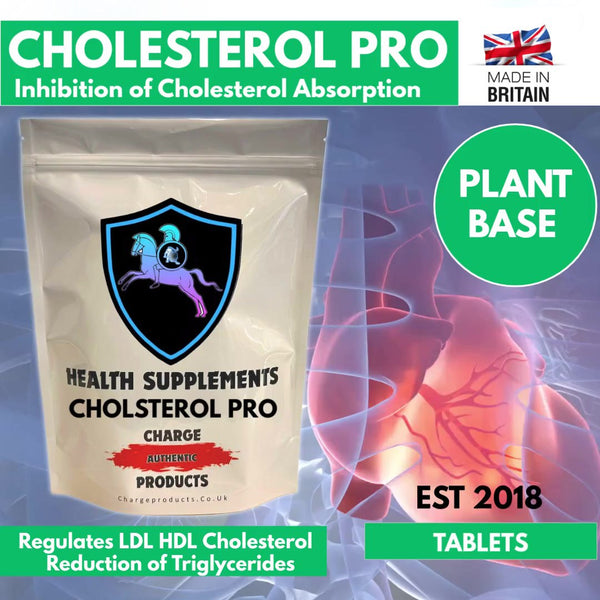 Cholesterol Pro Tablets 1000mg Tablets | Lower LDL Cholesterol Improve HDL