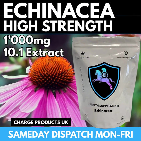 Echinacea 1000mg Tablets