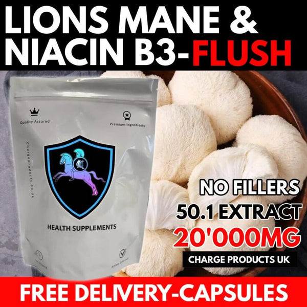 Lions Mane & B3 Niacin Capsules