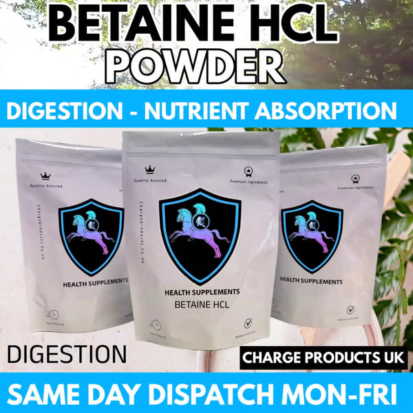 Betaine HCL Powder