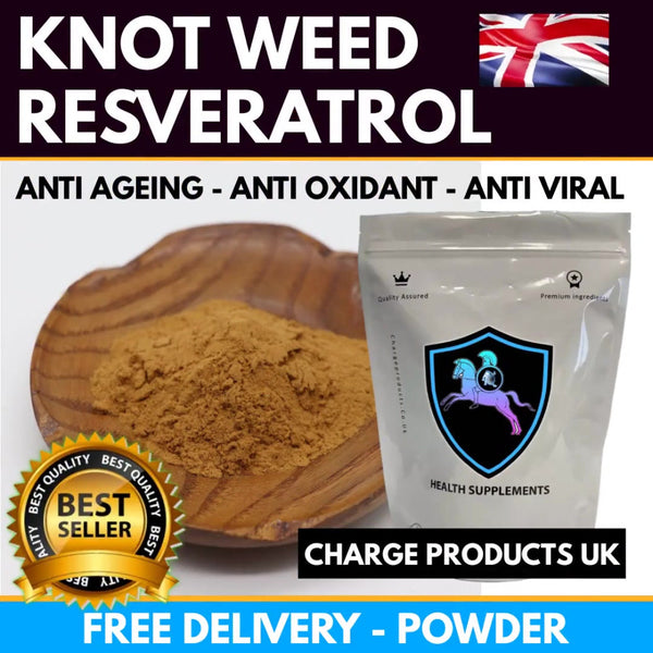 Japanese Knotweed Resveratrol Powder