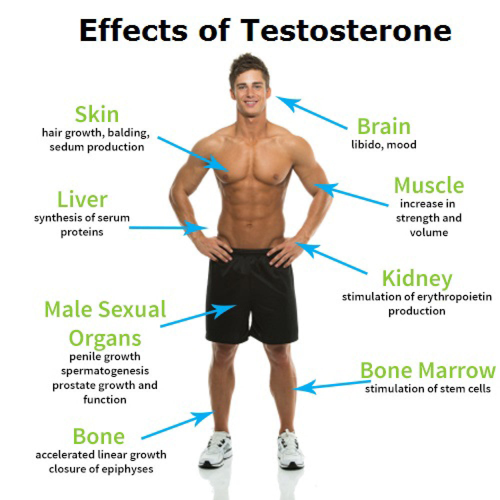 Testosterone Pro UK — Zinc Triple Complex Testosterone Support Tablets ...